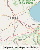 Imprese Edili Foggia,71122Foggia