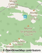 Via Fratelli Bencivenga, 35,81034Mondragone