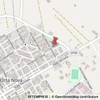 Mappa Via Tarantino, 10, 71045 Orta Nova, Foggia (Puglia)
