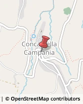 Via Vittorio Veneto, 2,81044Conca della Campania