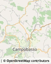 Imprese Edili Ripalimosani,86025Campobasso