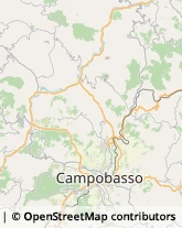 Elettrauto Campobasso,86100Campobasso