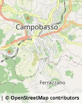 Associazioni e Federazioni Sportive Campobasso,86100Campobasso