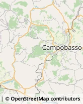 Caffè Campobasso,86100Campobasso