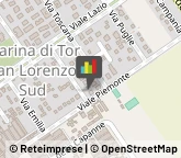 Trasporti Refrigerati,00040Roma