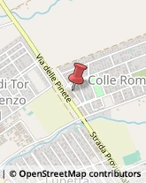 Viale Colle Romito, 16,00040Ardea