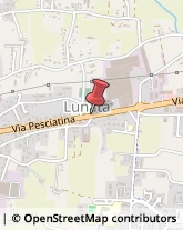 Via Pesciatina, 123,55010Capannori