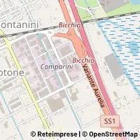 Map Viareggio