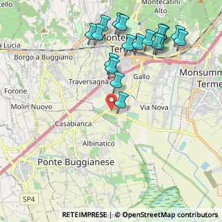 Mappa Via Carpinocchio, 51010 Massa e Cozzile PT, Italia (2.465)