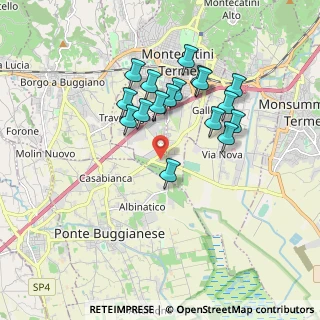 Mappa Via Carpinocchio, 51010 Massa e Cozzile PT, Italia (1.64706)