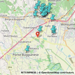 Mappa Via Carpinocchio, 51010 Massa e Cozzile PT, Italia (2.579)