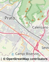 Trasporti Internazionali Prato,59100Prato