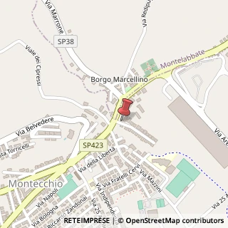 Mappa Via Gulino Placido, 1, 61022 Sant'Ippolito, Pesaro e Urbino (Marche)