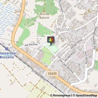 Impianti Sportivi e Ricreativi - Costruzione e Attrezzature,55054Lucca