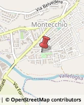 Via Arezzo, 27,61022Vallefoglia