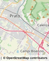 Traduttori ed Interpreti Prato,59100Prato