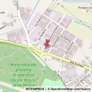 Mappa Via Vittorio Amadori, 51039 Quarrata, Pistoia (Toscana)