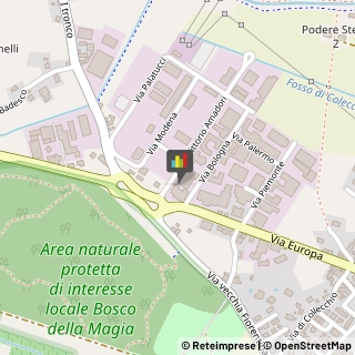 Stampe Artistiche,51039Pistoia
