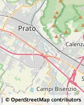 Internet - Servizi Prato,59100Prato