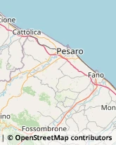 Trasporti Internazionali Fano,61032Pesaro e Urbino