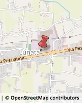 Via Pesciatina, 143,55012Capannori