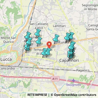 Mappa Via di Pulecino, 55100 Lucca LU, Italia (1.7295)