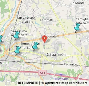 Mappa Via della Madonna Lunata, 55012 Capannori LU, Italia (4.09842)