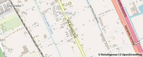 Mappa Viareggio