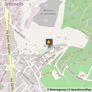 Consulenza Informatica,50041Firenze