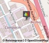 Cantieri Navali,55049Lucca