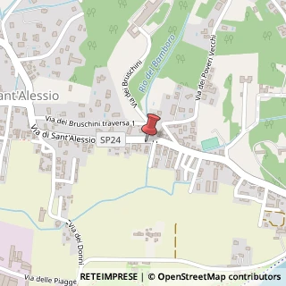 Mappa Via di Sant'Alessio, 939, 55100 Lucca, Lucca (Toscana)