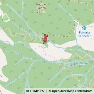 Mappa Via di Uscioli, 11, 50065 Pontassieve, Firenze (Toscana)