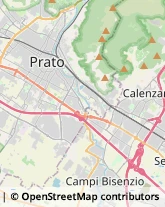 Carte da Gioco Prato,59100Prato