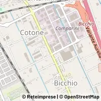 Map Viareggio