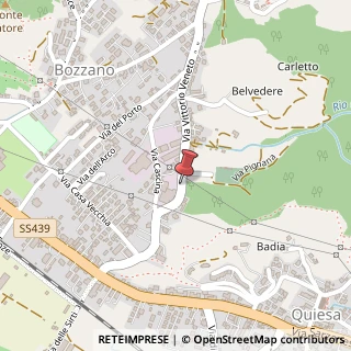 Mappa Via Vittorio Veneto, 429, 55054 Massarosa, Lucca (Toscana)