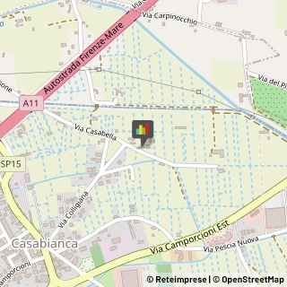 Imprese Edili,51019Pistoia