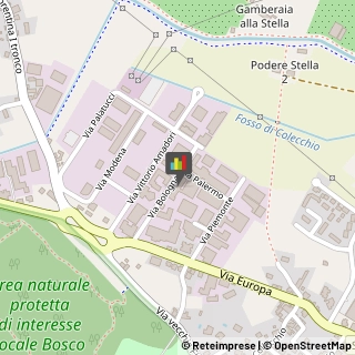 Abbigliamento,51039Pistoia