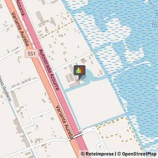 Locali e Ritrovi - Piano Bar e Nights Viareggio,55049Lucca