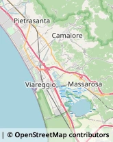 Impianti Sportivi Viareggio,55049Lucca