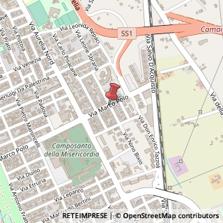 Mappa Via Nino Bixio,  32, 55049 Viareggio, Lucca (Toscana)