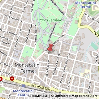 Mappa Via Alessandro Manzoni, 8, 51016 Montecatini Terme, Pistoia (Toscana)