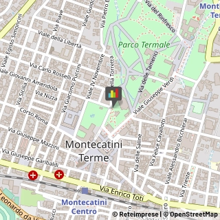Autoveicoli Elettrici,51016Pistoia