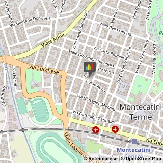 Cartotecnica Montecatini Terme,51016Pistoia