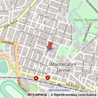 Mappa Via Puccini, 11, 51016 Montecatini Terme, Pistoia (Toscana)