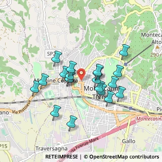 Mappa Via Enrico Magnani, 51016 Montecatini Terme PT, Italia (0.794)