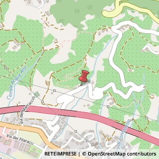 Mappa Via di Coli e Spezi, 2924, 55054 Massarosa, Lucca (Toscana)