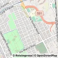 Map Viareggio