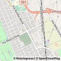 Kart Viareggio