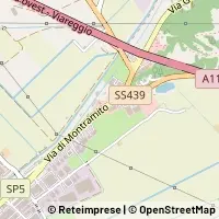 Map Massarosa