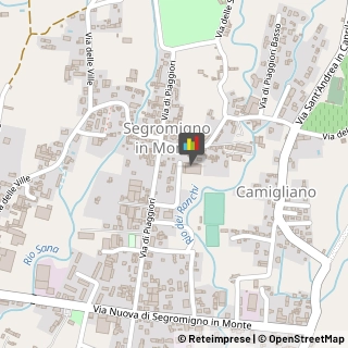 Calzature - Dettaglio,55012Lucca